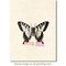 Deep Red Stamps Swallowtail Butterfly Rubber Cling Stamp 2.8 x 2 inches